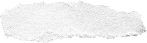 Piece of White Ripped Paper