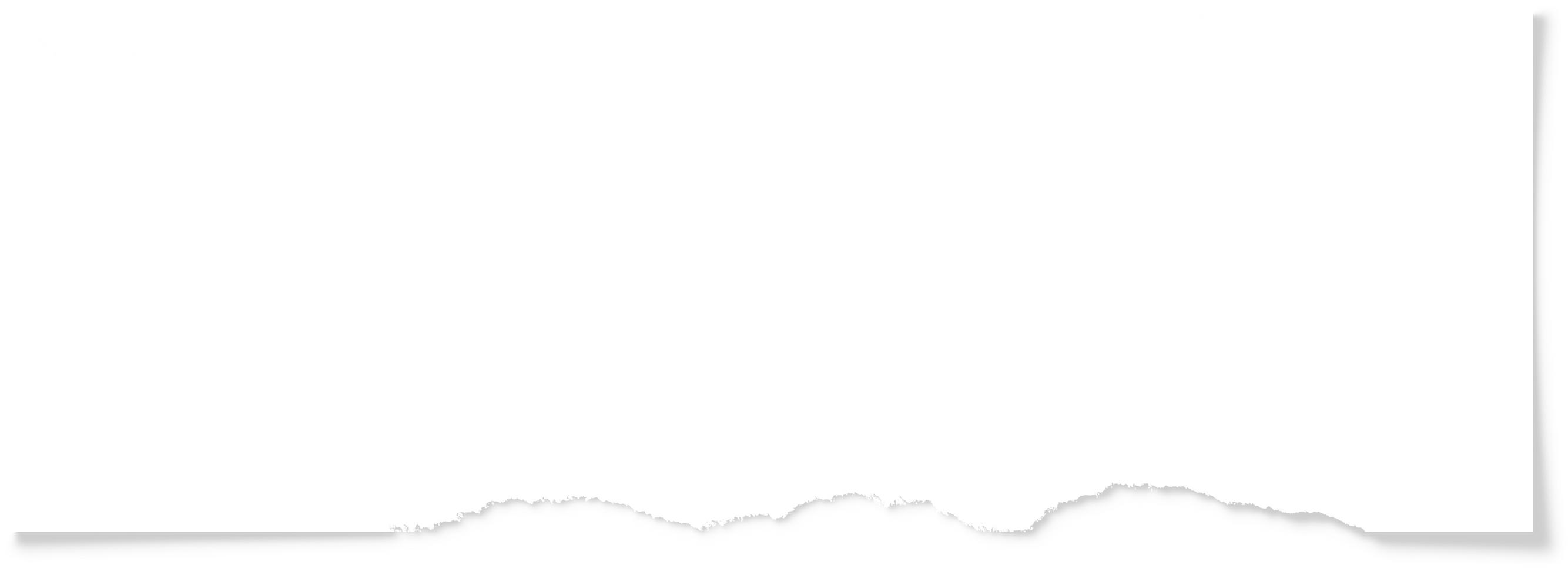 Piece of  Torn Paper